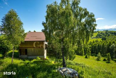 Casă cu 4 camere cu Teren 4160 Mp în Moieciu - 9