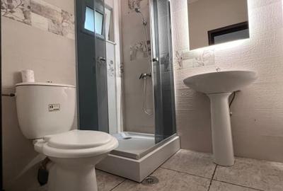 Casa spatioasa, ideal sediu de firma, Zona Parcul Circului. - 14