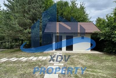 Pensiune/ Vila Valea Avrigului Pensiune/ Vila Valea Avrigului - 28