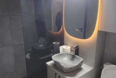 Apartament cu 2 camere decomandat în Malul Mureșului - 5