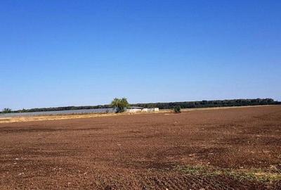 Branesti teren intravilan 30700 mp - 5