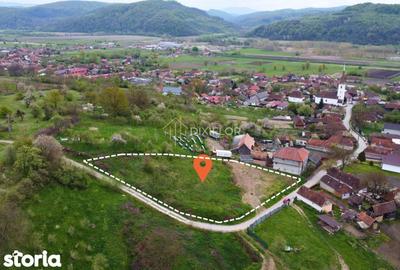Teren de 3033 mp, în Criș - 4