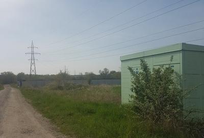 Teren 1.598mp, deschidere dubla, cea mare de 70ml, strada Arinilor, Gheraiesti - 7