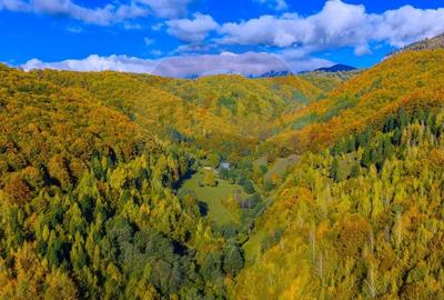 COMISION 0% Teren 11,381 mp Moieciu de Jos / Oportunitate unica - 19