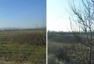 Teren extravilan cota parte 1/6 Odobesti, ID: R2878573 - 2