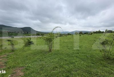 Spațiu comercial, în Sud - 4