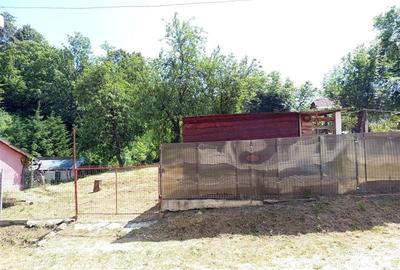 Casă individuală cu 4 camere cu Teren 1439 Mp în Vest - 13