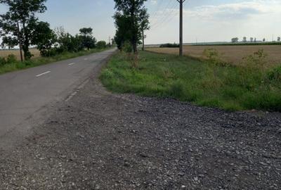 Teren de 12000 mp, în Țintești - 7