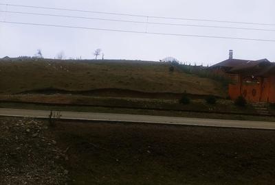 Spațiu comercial, în Paltin - 8