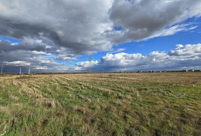 Satu Mare, Oportunitate pentru dezvoltatori, Teren generos parcelat Satu Mare, Oportunitate pentru dezvoltatori, Teren generos parcelat - 1