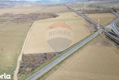 Teren de 19319 mp, în Laslea - 6