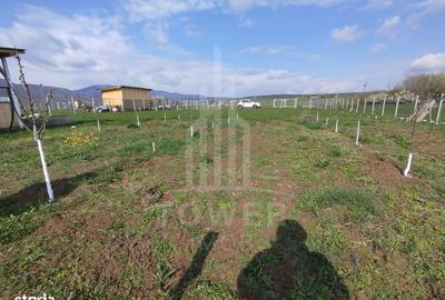 Spațiu comercial, în Central - 6