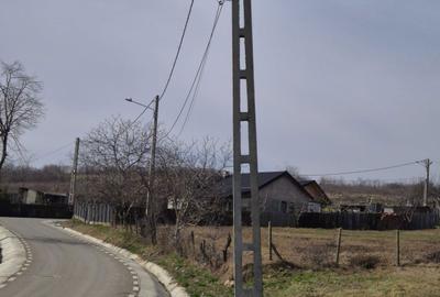 Teren de 700 mp, în Tomești - 3