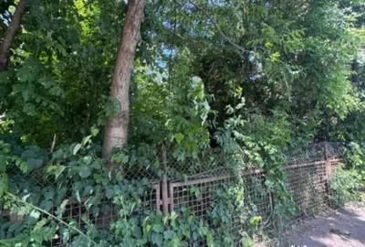 Teren de 4200 mp, în Rădăuți - 4