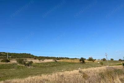 Teren de vanzare 11.400 mp, str. Podgorenilor, Dej - 2