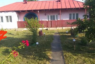 Casă cu 3 camere în Podu Turcului - 9