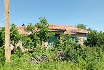 Casă cu 4 camere în Băduleasa - 1