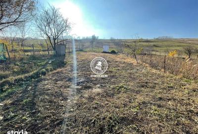 Casă cu 4 camere cu Teren 6200 Mp în Popricani - 19