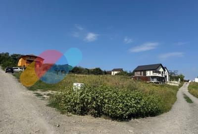 Teren Construcții intravilan de 700 mp, în Chinteni - 3