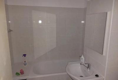 Apartament 2 camere zona paltinis - 3