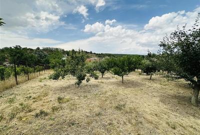 CASA P+M | TEREN 2200 MP | STRADA SOFIEI | ZONA DEALURI - 23