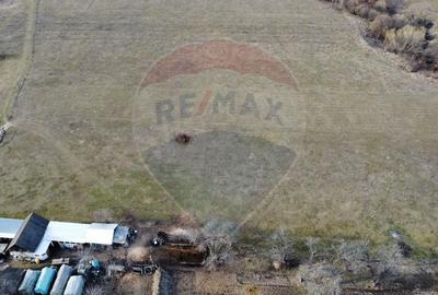 Teren agricol intravilan de 2592 mp, în Lipoveni - 13