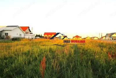 Vanzare Teren, Lot Casa 730mp in Viforata, Targoviste - Exterior nord. - 2