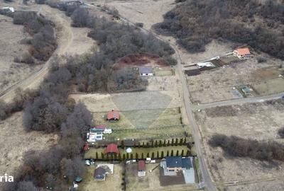 Spațiu comercial, în Tăuți - 16