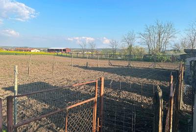 Casă cu 2 camere în Porumbac