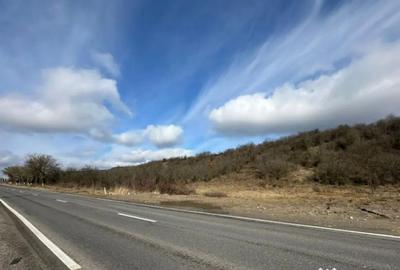 Teren în Dragomirești - 1