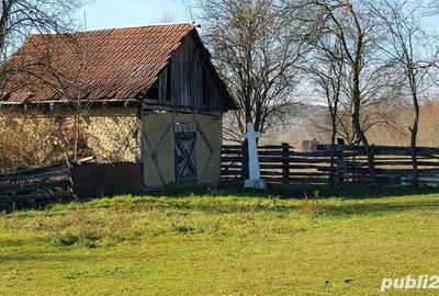 Casă cu 8 camere cu Teren 3008 Mp în Rișculița - 7