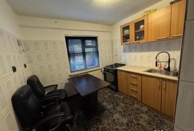 Apartament cu 2 camere semidecomandat, mobilat în George Enescu - 3