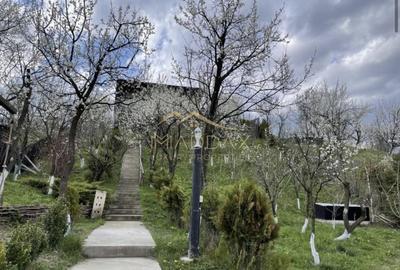 Casa de vacanta**Panorama spectaculoasa//Provita de Jos_Prahova - 1