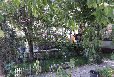 Spațiu comercial, în Vlădiceni - 6