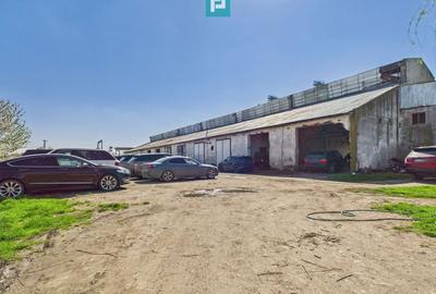 Spațiu industrial, de 1,690 mp, în Orțișoara - 2