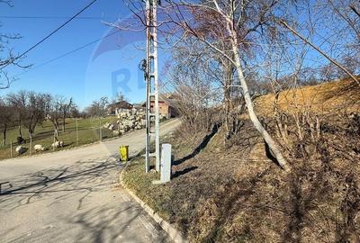 Teren de 1170 mp, în Dumbrăvița - 5