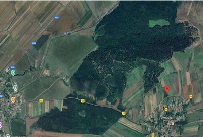 Cota de 1/2 din teren extravilan, comuna Rogova, Jud Mehe... - 4