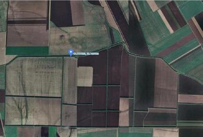 Teren extravilna Cota parte 1/16, CObadin, ID: R2782865 - 2