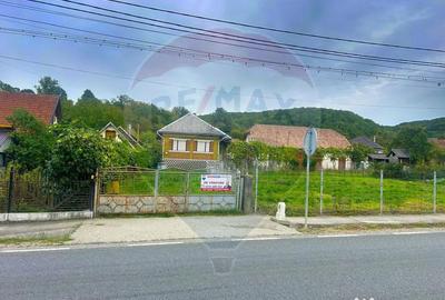 Casă cu 4 camere cu Teren 2000 Mp în Buciumi