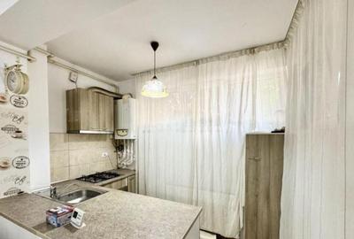 Dimitrie leonida demisol studio pet friendly