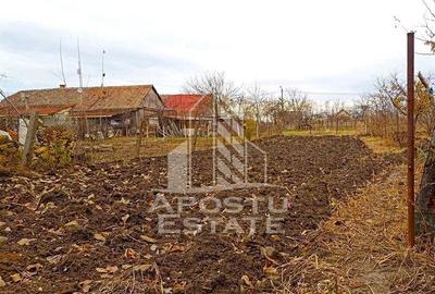 Casă cu 4 camere cu Teren 996 Mp în Dudeștii Noi - 7