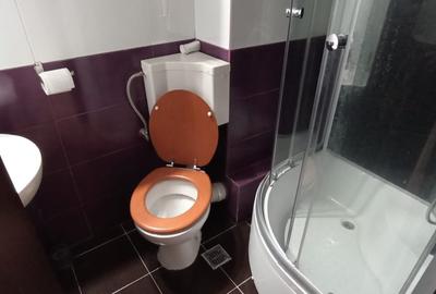 Inchiriere apartament 2 cam, 2 bai, parcare, mobilat,90 mp Prelungirea Ghencea - 11
