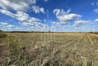 Teren de 14800 mp, în Cristian - 4