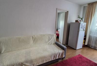 Apartament cu 2 camere semidecomandat în Valea Rosie - 5