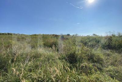 Teren de 3800 mp, în Crișeni - 6