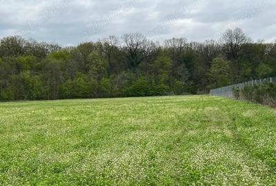 Ciolpani - (spre Izvorani), str. Mihail Manolescu - teren 1500 mp d= 16 m. - 1