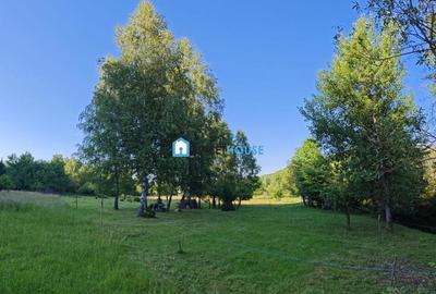 Teren de 1800 mp, în Dejani - 4