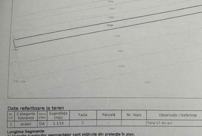 Teren intravilan Comana 2.300 mp deschidere 12,5 m utilitati la strada - 5