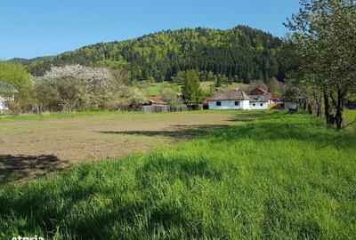 Spațiu comercial, în Lunca - 16