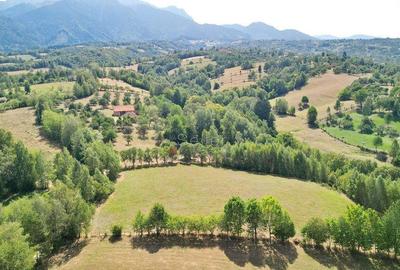 Teren de 10000 mp, în Sohodol - 5